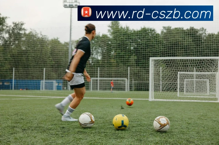 彩神争霸平台生态图